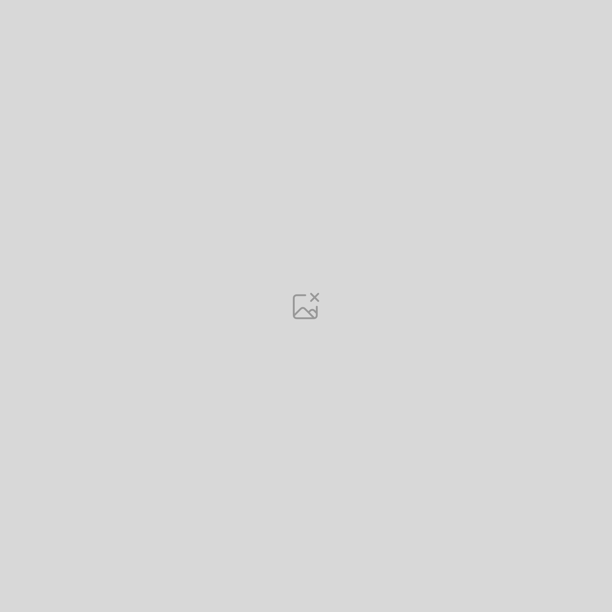 Article de test – Lorem Ipsum dolor #5